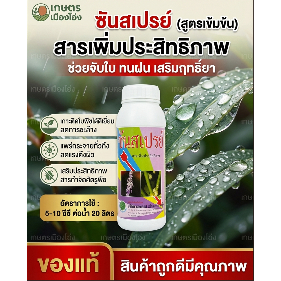 แอทลาส ซันสเปรย์ ไวท์ออย คุมไข่ ช่วยกำจัดเพลี้ยแป้ง เพลี้ยหอย และแมลงทุกชนิด สกัดจากพืชปลอดภัยต่อคน 1ลิตร #ลูกโลก