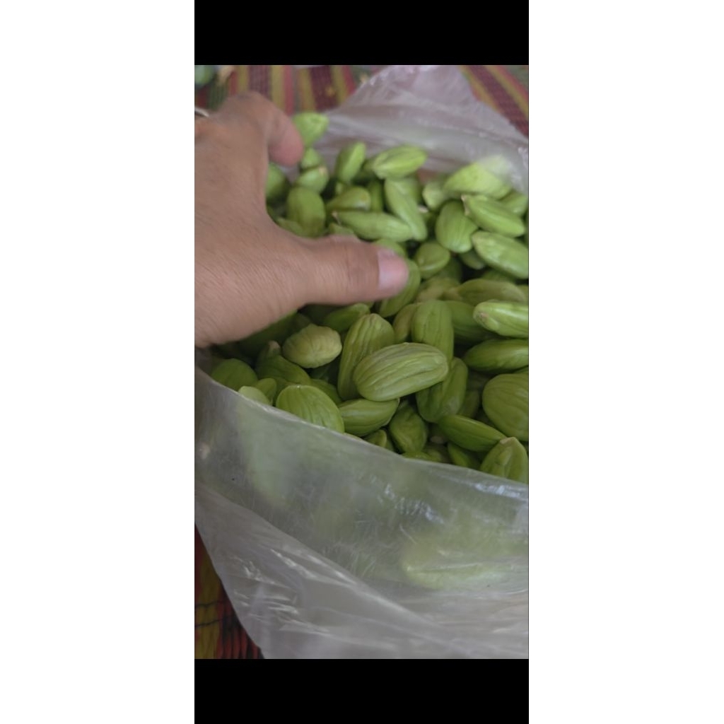 สะตอแกะสด 500 กรัม คัดสรรเม็ดสวยสะตอ สดใหม่ทุกวัน
