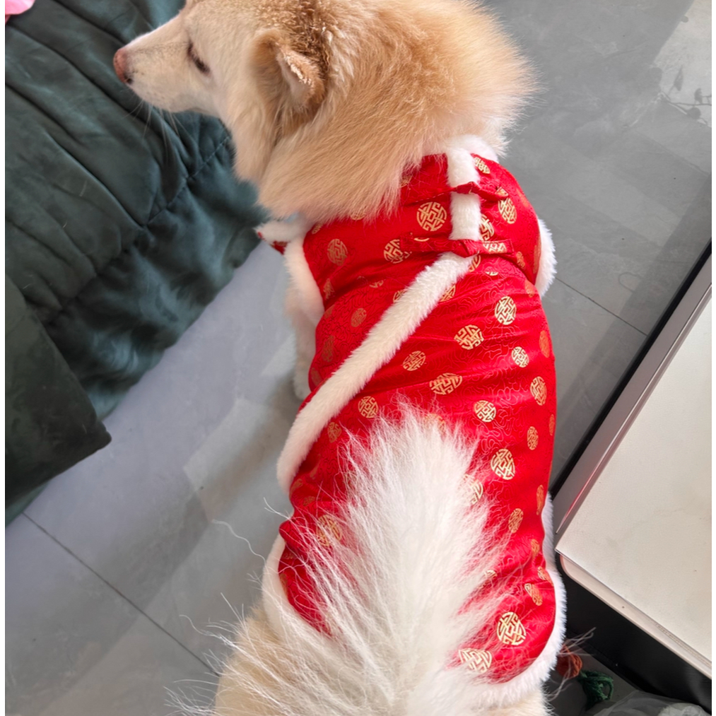 BIG DOG ชุดจีนหมาใหญ่ เสื้อและกระโปรงตรุษจีน  มีผ้าไหมมังกร ผ้าเฟอร์นุ่ม รองรับอก 38 นิ้ว พร้อมส่ง - รูปที่ 4