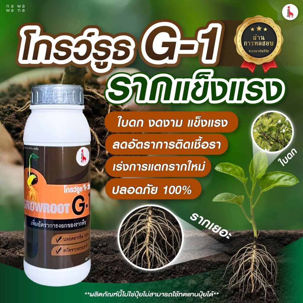 ผงเร่งราก โกรว์รูธG-1 ￼แบ่งขาย (50กรัม)