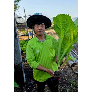 ถ่านไบโอชาร์ BIOCHAR ไบโอชาร์หมักจุลินทรีย์ เพิ่มรูพรุนในดิน ทำให้ดินโปร่ง ระบายน้ำ และอากาศดีขึ้น ขนาด 2 ลิตร