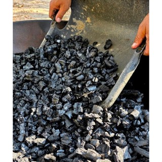 ถ่านไบโอชาร์หมัก BIOCHAR SOIL BOOSTER ช่วยปรับปรุงดิน เพิ่มแ…