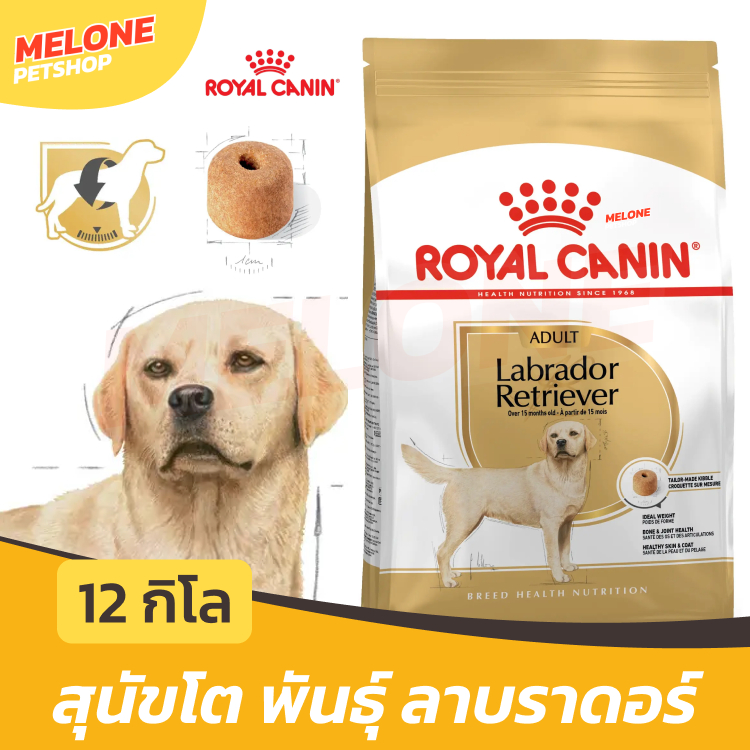 Royal Canin Labrador Adult โรยัล คานิน ลาบาดอร์ อาหารสุนัข สุนัขโต บำรุงขน บำรุงข้อ หุ่นกระชับ ขนาด 12 kg