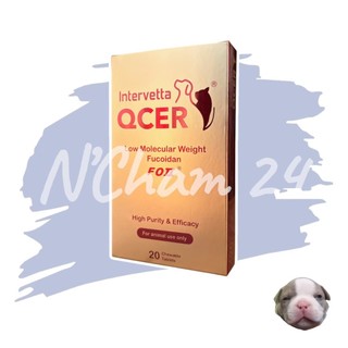 QCER บรรจุ20เม็ด ผลิตภัณฑ์ต่อต้านมะเร็งและเสริมภูมิคุ้มกันให้สมดุลย์