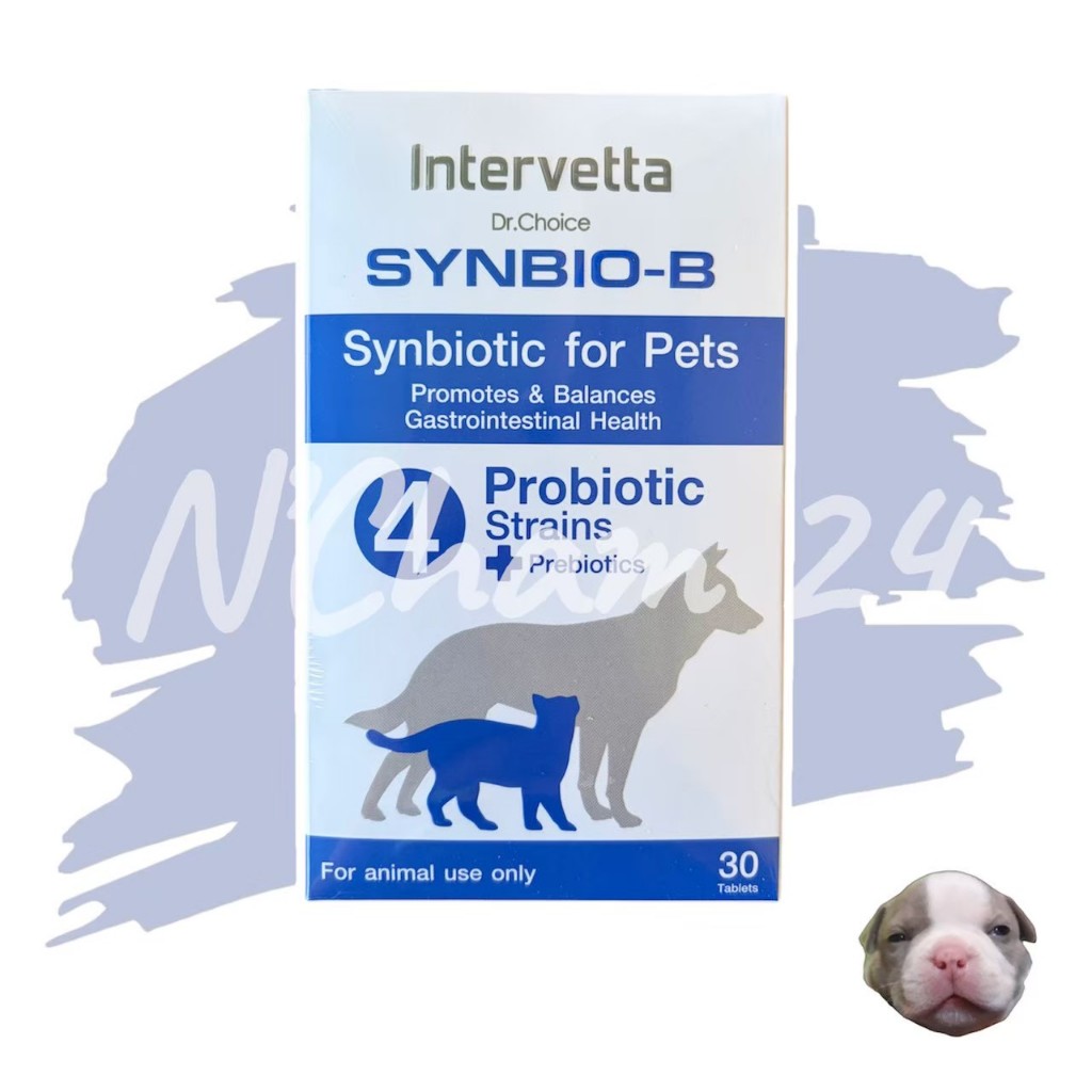 Synbio B แมว-สุนัข โพรไบโอติก+พรีไบโอติก ปรับสมดุลลำไส้ ลำไส้สุขภาพดี