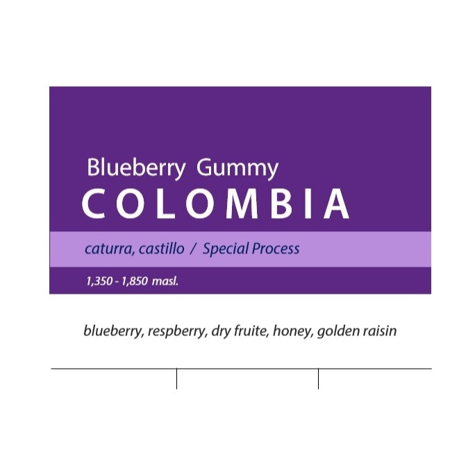 Colombia Blueberry Gummy / 100g 200g