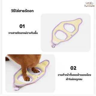 Mango สายจูงสุนัขขนาดเล็กพร้อมเสื้อกั๊ก ปลอกคอสำหรับลูกสุนัข สายจูงนิ่ม ใส่สบาย Pet Dog Harness and Leash Set for Small