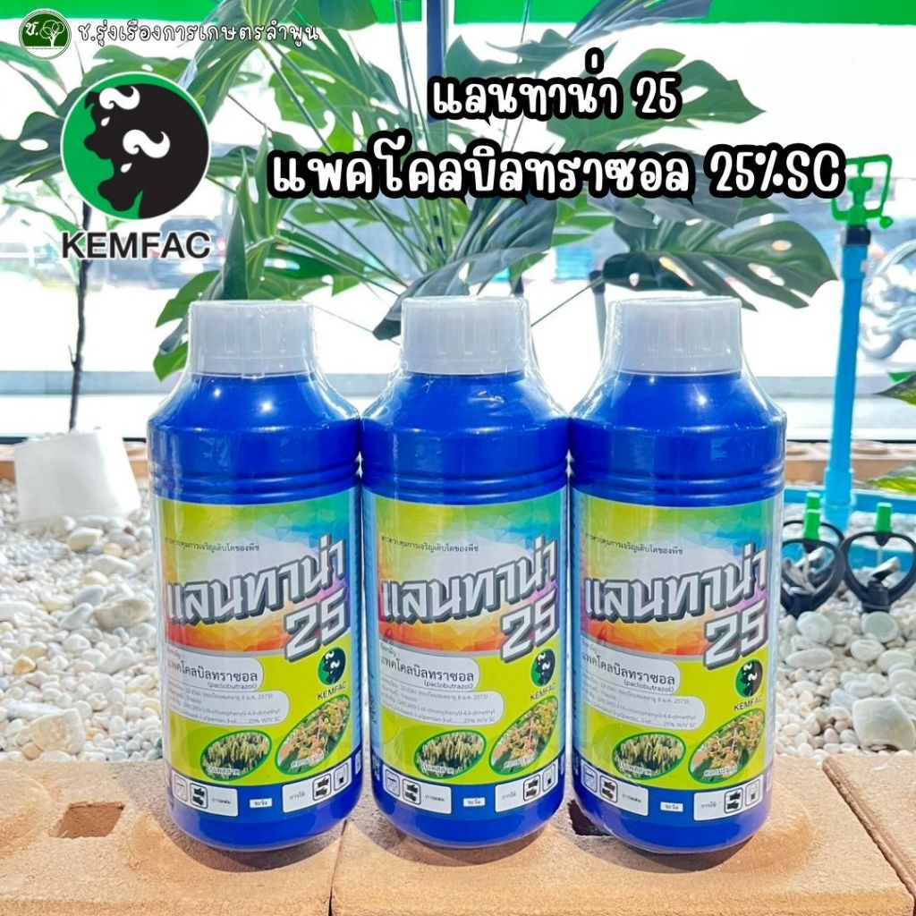 แลนทาน่า 25 ชื่อสามัญแพคโคลบิลทราซอล 25%SC (1 ลิตร) สารควบคุมการเจริญเติบโตของพืช