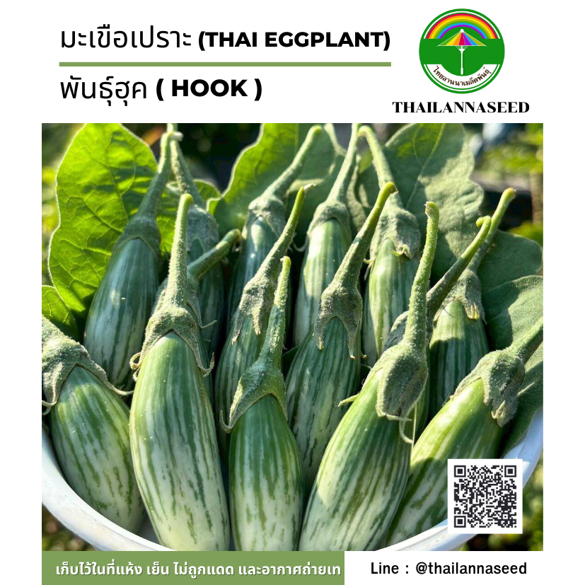 เมล็ดพันธุ์ผักสวนครัว มะเขือเปราะ พันธุ์ฮุค ( ขนาด 1 กรัม ) รหัสสินค้า 6057