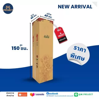 กล่องต้นไม้ 15+ ( สำหรับกระถาง 15 นิ้ว ) แพ็ค 10 ใบ พร้อมส่งทุกวัน สินค้าใหม่ !