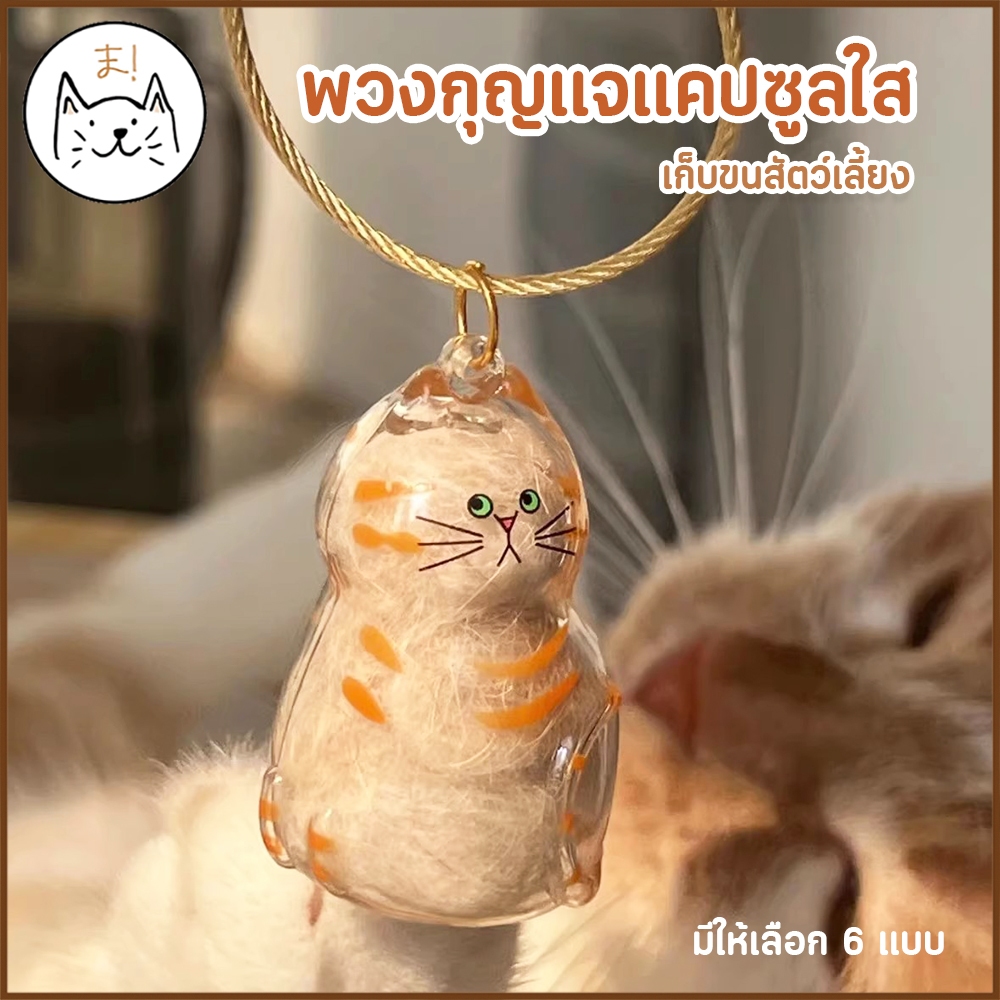 KUMAま พวงกุญแจแคปซูลใส เก็บขนแมว สะสมความทรงจำ พวงกุญแจจี้แคปซูลเก็บขนแมว กล่องเก็บหนวดแมว เก็บขนสัตว์เลี้ยง ดีไซน์มินิม