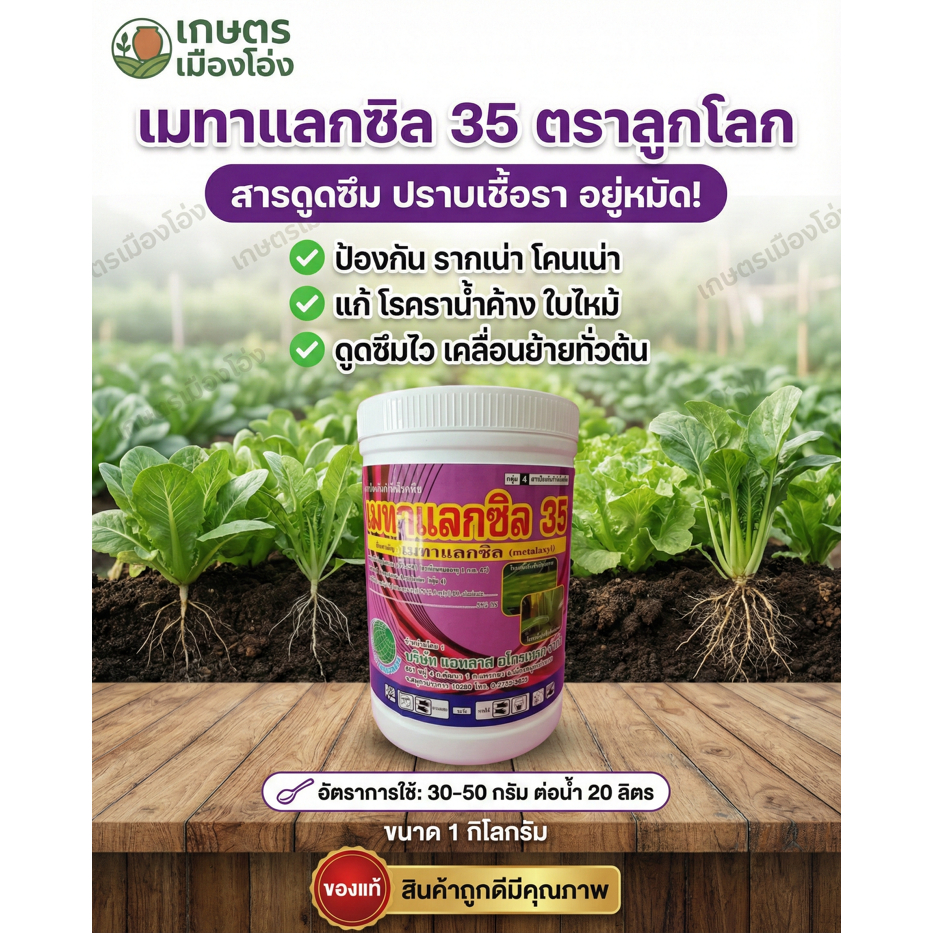 เมทาแลกซิล 35% สีชมพู ตราลูกโลก 1กิโลกรัม #ตราลูกโลก