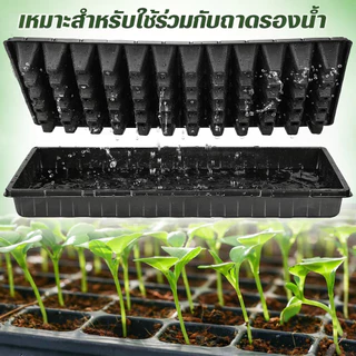 ลึกและหนาขึ้น ถาดเพาะกล้า ถาดเพาะกล้าข้าว ถาดเพาะกล้า 105 หลุม ถาดปลูกต้นไม้ 21/32/50/72/105/128/200 หลุม