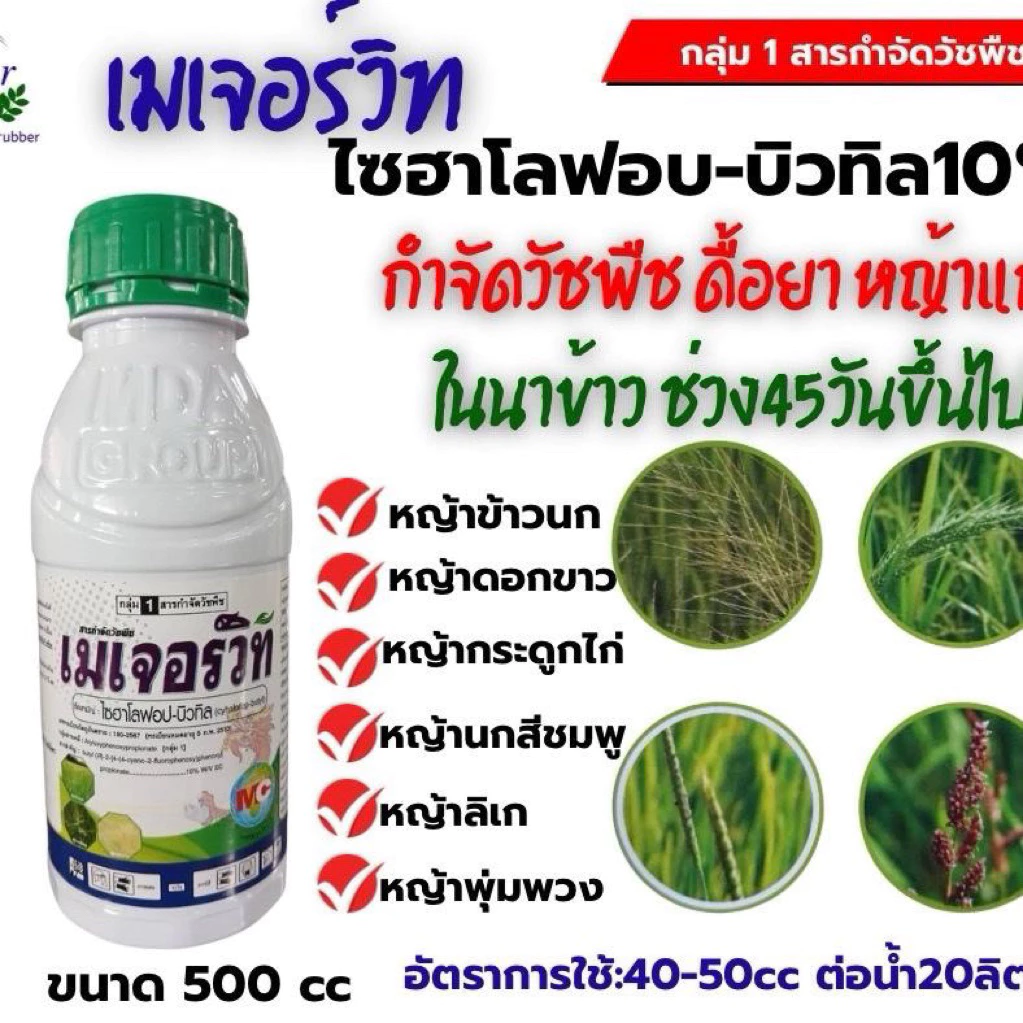 ไซฮาโลฟอบ-บิวทิว10 (เมเจอร์วิทำ) กำจัดวัชพืชใบแคบ-กก หญ้าดอกขาว หญ้าข้าวนก หญ้าแดง ขนาด500cc สารกำจัดหญ้าแก่ หญ้าข้าวนก