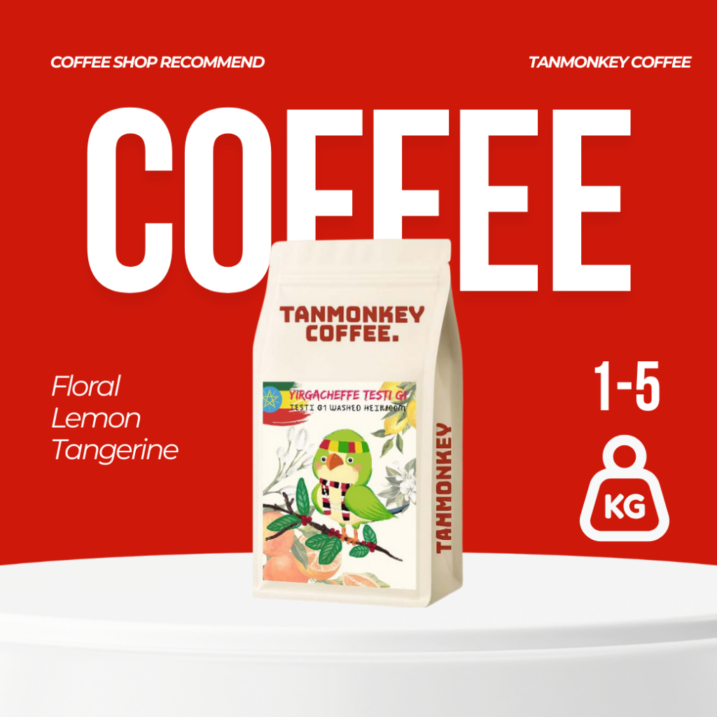 Tanmonkey Coffee เมล็ดกาแฟคั่ว ราคาส่ง 2 kg / 5 kg เมล็ดกาแฟคั่ว Ethiopia Yirgacheffe M01 Testi