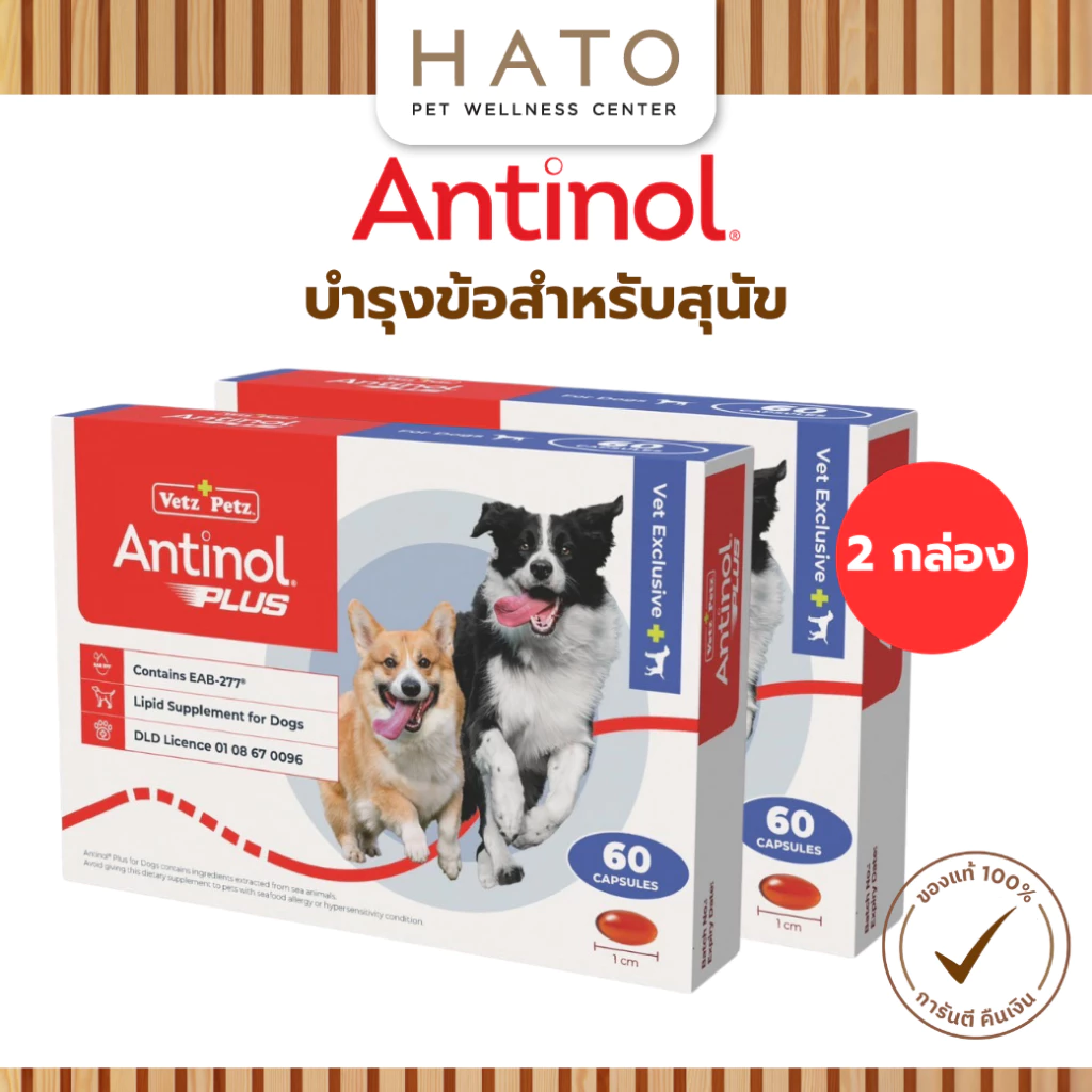 Antinol Dog แอนทินอล อาหารเสริมไขมัน บำรุงข้อ สำหรับสุนัข 2 กล่อง (120 เม็ด) Vetz Petz