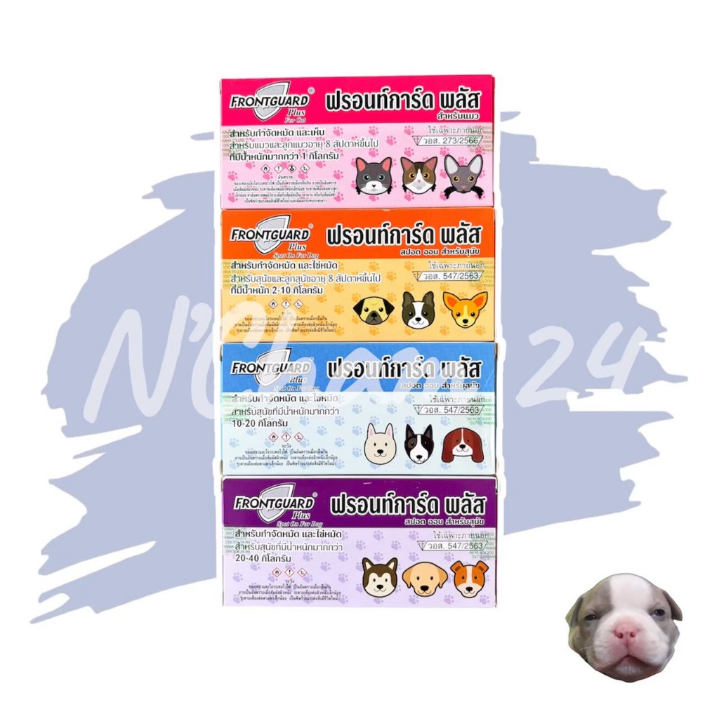 Frontguard Plus จำนวน 1 หลอด ยาหยอดกำจัดเห็บและหมัด ไข่หมัด ตัวอ่อน ตัวเต็มวัย สำหรับสุนัขและแมว