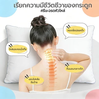 หมอน 48*74cm แก้ปวดคอ 800ก. หมอนมีซิบ นุ่ม สบาย นอนสบาย เพื่อสุขภาพ Pillow
