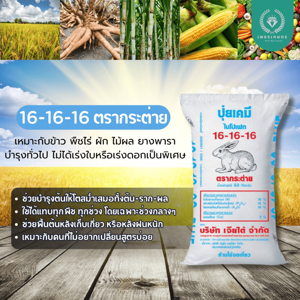 ปุ๋ย 16-16-16 ตรากระต่าย เม็ดฟ้า แบ่งขาย  ปุ๋ยสูตรเสมอ บำรุงต้น พืชทุกชนิด