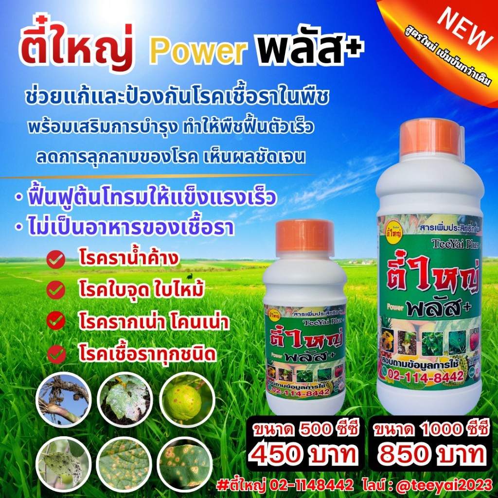 ตี๋ใหญ่พาวเวอร์พลัส ป้องกันและแก้ไขโรคเชื้อราทุกชนิด สารเสริมประสิทธิภาพ(น้ำดำ) ขนาด500cc / 1000cc