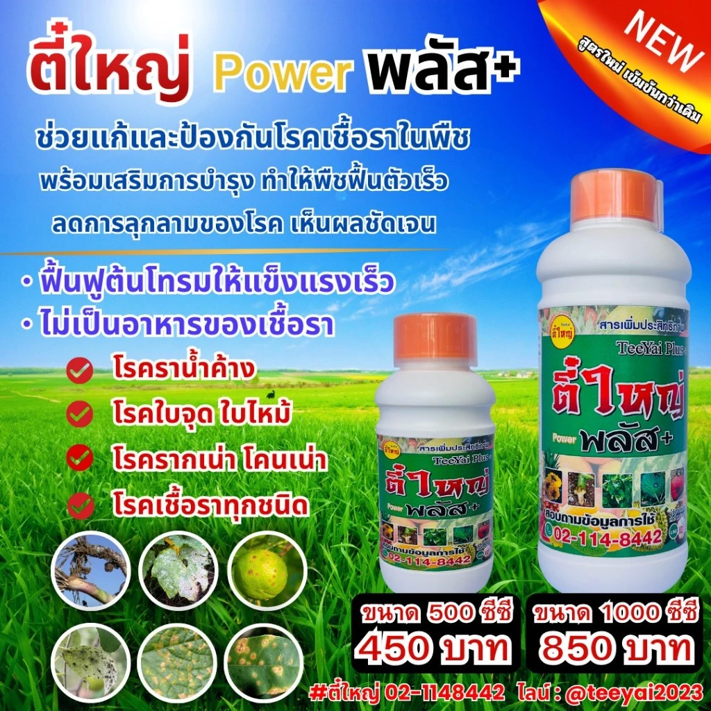 ตี๋ใหญ่พาวเวอร์พลัส ป้องกันและแก้ไขโรคเชื้อราทุกชนิด สารเสริมประสิทธิภาพ(น้ำดำ) ขนาด500cc / 1000cc