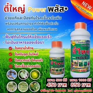 ตี๋ใหญ่พาวเวอร์พลัส ป้องกันและแก้ไขโรคเชื้อราทุกชนิด สารเสริ…