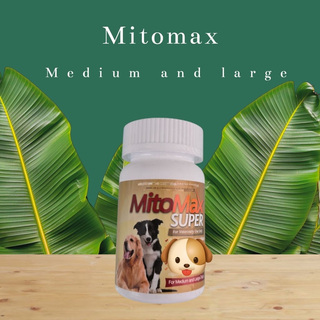 🦮 Mitomax medium and large (30 แคปซูล)