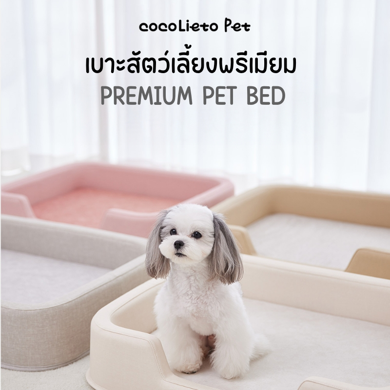 Cocopet เบาะนอนสัตว์เลี้ยง Galaxy Pet Bed ป้องกันรอยขีดข่วน กันน้ำ ระบายอากาศดี เบาะพรีเมียม จากเกาหลี
