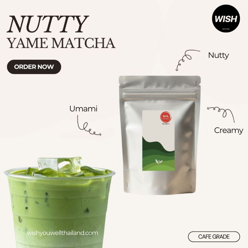 Nutty Matcha นัตตี้มัทฉะ Cafe Grade จากเมืองยาเมะ ฟุกุโอกะ ชาเขียวมัทฉะ นัตตี้มัทฉะ