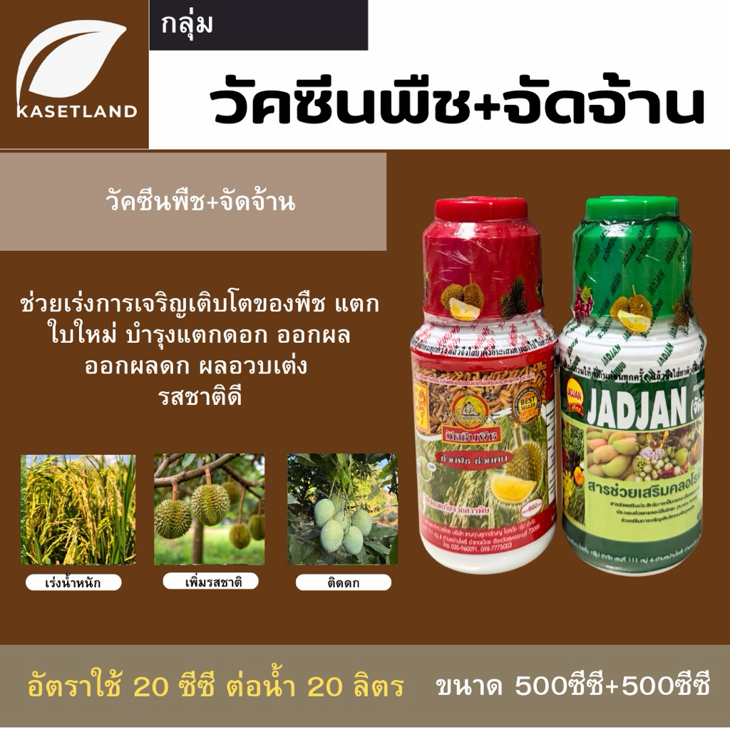 วัคซีนพืช + จัดจ้าน ขนาดขวดละ 500cc ฮอร์โมนเสริมสร้างภูมิคุ้มกันให้พืชผักผลไม้และพืชสวน