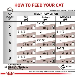Royal Canin Gastrointestinal Fibre Feline อาหารแมวประกอบการรักษาโรคทางเดินอาหาร