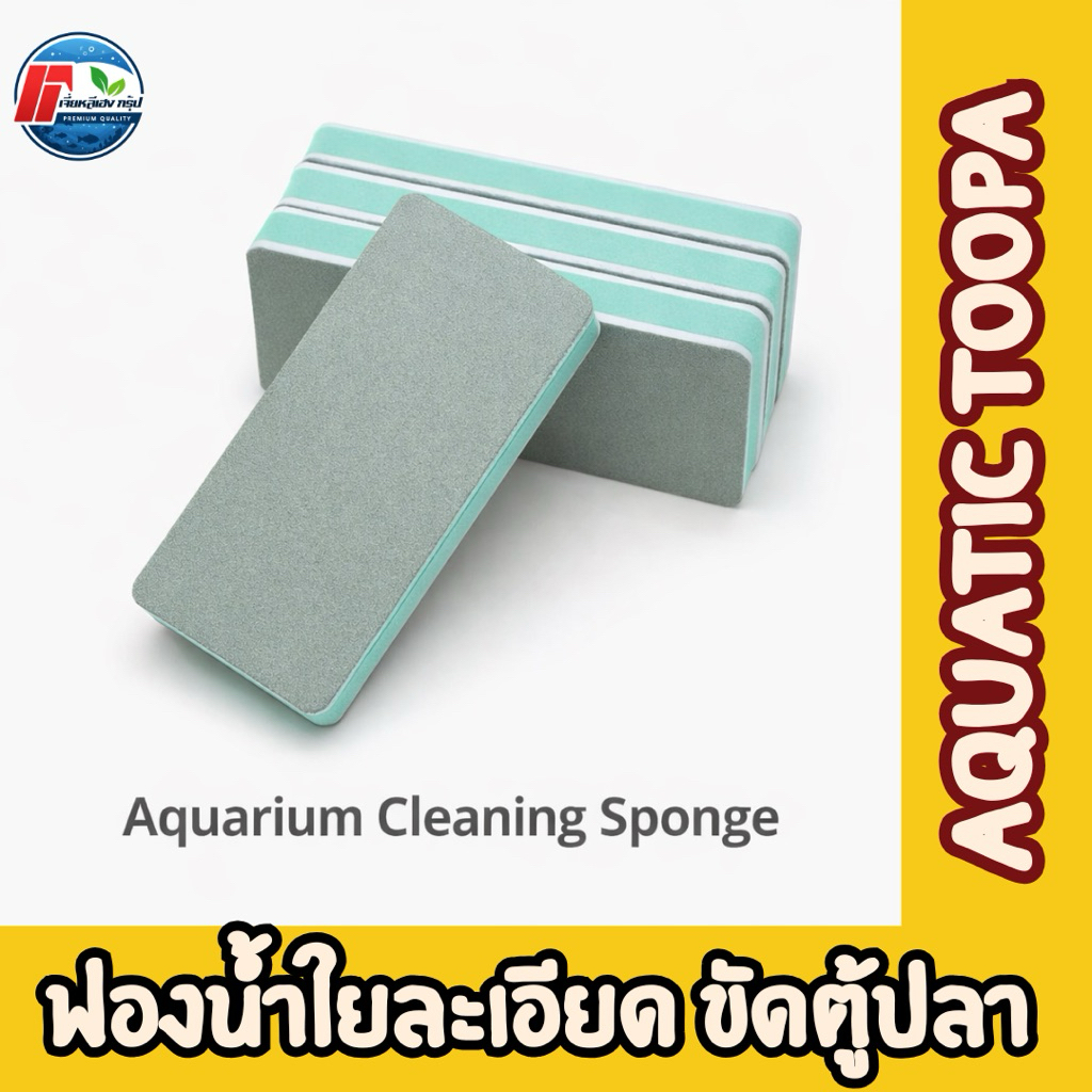 ฟองน้ำใยหินทราย ขจัดคราบ (รูปทรงสี่เหลี่ยมผืนผ้า) – 1 ชุด 3 ชิ้น