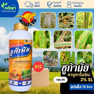 ซูก้ามัย ยกลัง (12ลิตร) กำจัดโรคพืช เชื้อรา และ แบคทีเรีย คา…