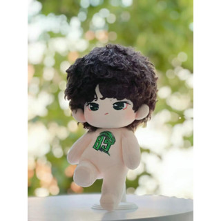 รวมตุ๊กตาป๋อหมูหยอง พรี