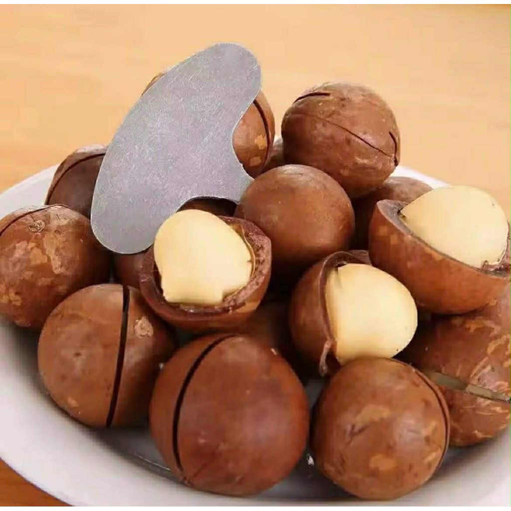 แมคคาเดเมีย อบเนย อร่อย หอม เนื้อเต็มทุกเม็ด ราคาถูกมากกก