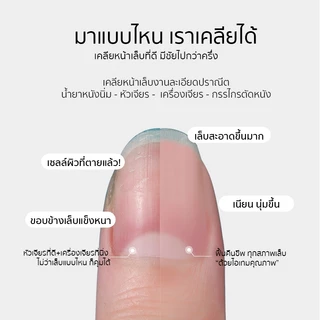 MAJIKKU หัวเจียรเล็บไดมอนด์ สไตล์รัสเซีย เคลียหน้าเล็บ Nail Drill Bits หัวเจียรหนังรัสเซีย เคลียหนัง