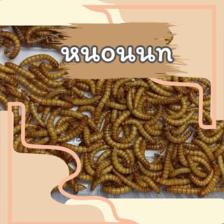 อาหารนก หuouนกแบบไม่อบ สำหรับอาหารสัตว์กินแมลง ส่งทุกวัน