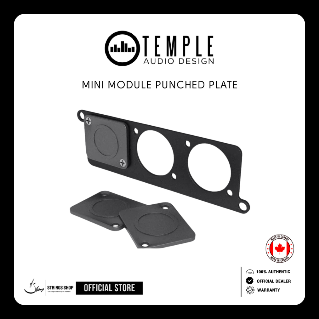 Temple Audio Mini Module Punched Plate
