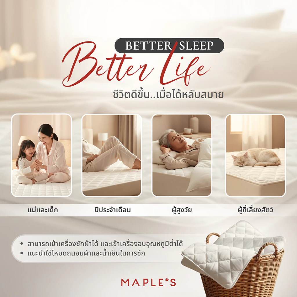 MAPLE S ผ้ารองกันเปื้อนรัดมุม กันน้ำกันรา Mattress Protector thumbnail 9