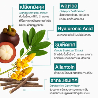 CHER Acne Oil Control T-zone (Oil Free) เฌอ เซรั่มไฮยาลดสิว 20mL