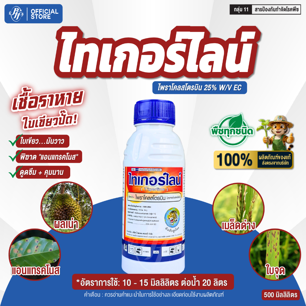 ไพราโคลสโตรบิน ไทเกอร์ไลน์ 500 ซีซี หัวเสือ สูตรดูดซึมแทรกซึมไว ยับยั้งเชื้อรา แอนแทรคโนส ใบไหม้