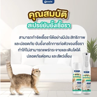 สเปรย์ยับยั้งเชื้อราแมว InnoPet จัดการเชื้อราน้องแมวได้ในขั้นตอนเดียว ลดคัน ลดขนร่วง อ่อนโยน ปลอดภัย ไม่แต่งสีและกลิ่น