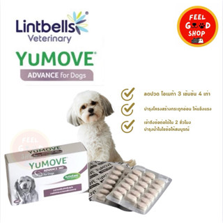 Yumove Advance 360 [ กล่อง 120 เม็ด] บำรุงข้อสุนัข กระดูก ลด…