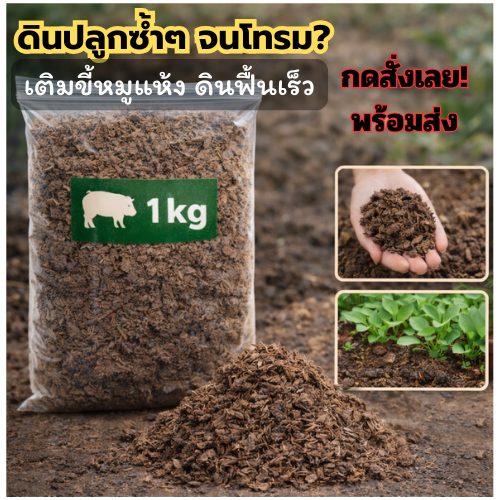 ขี้หมูแห้ง 1 kg ปุ๋ยคอกอินทรีย์ ฟื้นดินโทรม บำรุงผัก ไม้ดอก ดินร่วน