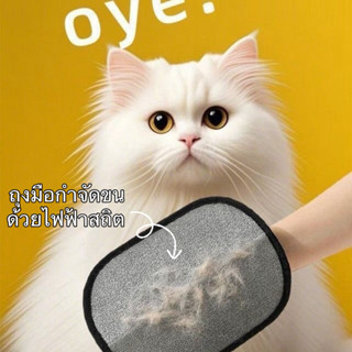 🐱ถุงมือกำจัดขนด้วยไฟฟ้าสถิต อุปกรณ์ตัดแต่งขนแมวและสุนัข หวีแ…