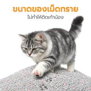 Petus 3ถุง ทรายแมว 10ลิตร ทรายแมว cat litter ควบคลุมกลิ่นได้ดี ขนาด 10ลิตร ดูดซับเร็ว ใช้งานได้นาน กลิ่นมัทฉะ
