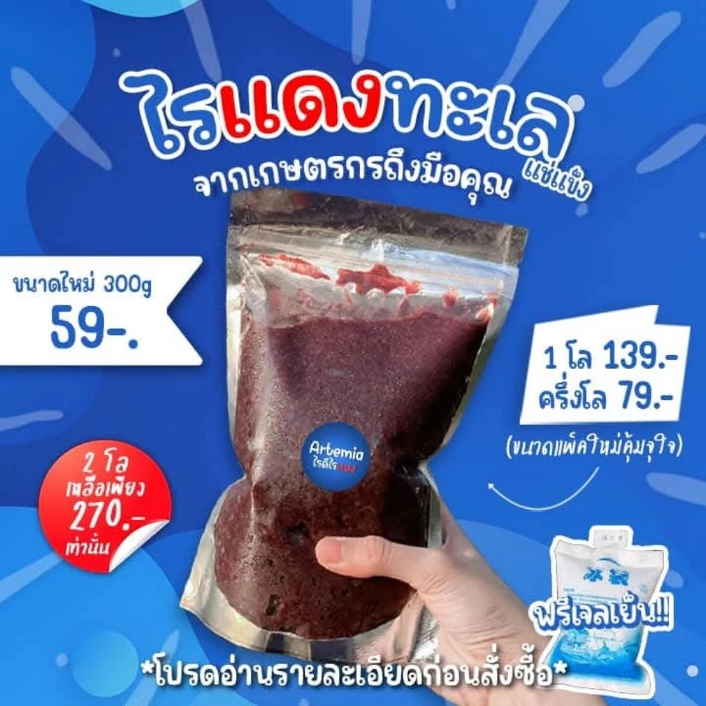 💙จัดส่งทุกวัน จ พ ศ💙 ไรทะเลแช่แข็ง อาร์ทีเมีย อาหารสดสำหรับปลา โปรตีนสูง จากเกษตรกรเนื้อล้วนไม่มีน้ำ(ใช้โค้ดลดได้ค่ะ)