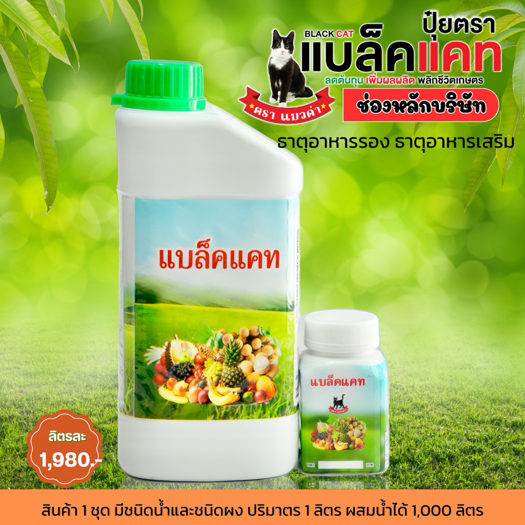 ปุ๋ยแบล็คแคท1ชุด ปริมาตร1ลิตร