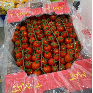 ทำด้วยใจ - มะเขือเทศเชอรี่แดง มะเขือเทศจิบิ มะเขือเทศเถาวัลย์ 500g/1kg หวาน กรอบ ผิวสวย พร้อมส่งทุกวัน