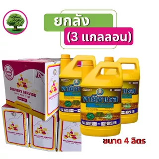 คายีซาเรส(เหลือง) 4 ลิตรแพ็คใหม่*ยกลัง มี 3 แกลลอน* กลูโฟซิเนตแอมโมเนียม15% กำจัดหญ้าใบแคบและใบกว้าง